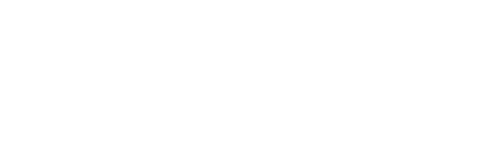 iodyne Pro Mini Smart Drive logo white
