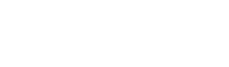 iodyne Pro Mini Smart Drive logo white