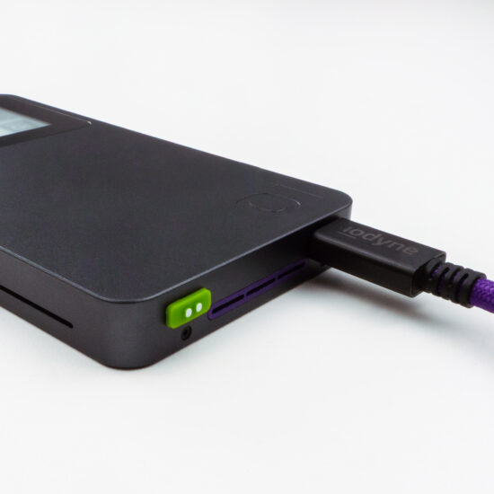 A green ID tag is shown attached to the Pro Mini accessory port, with two white raised pips