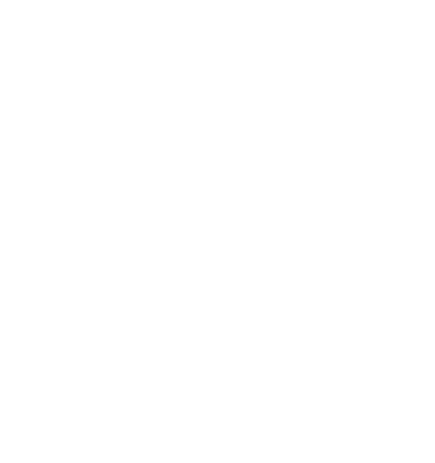 icon showing a certificate